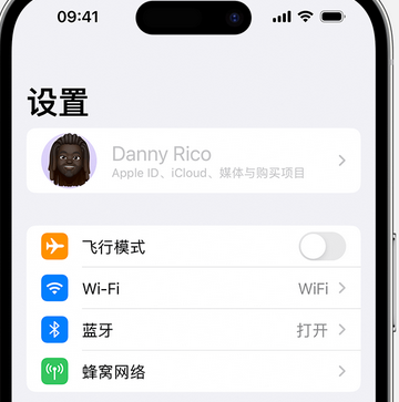 天峨appleID维修服务iPhone设置中Apple ID显示为灰色无法使用 