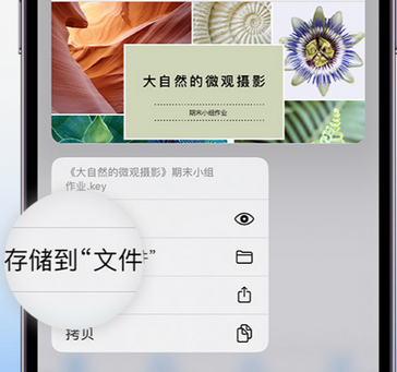 天峨apple维修中心分享iPhone文件应用中存储和找到下载文件