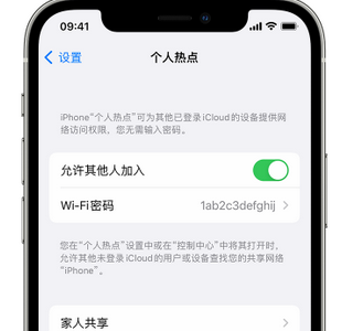 天峨apple服务站点分享iPhone上个人热点丢失了怎么办 