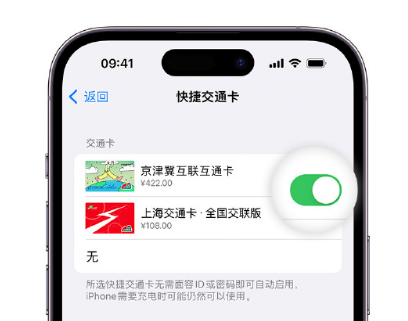 天峨apple维修点分享iPhone上更换Apple Pay快捷交通卡手绘卡面 