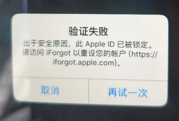 天峨iPhone维修分享iPhone上正常登录或使用AppleID怎么办 