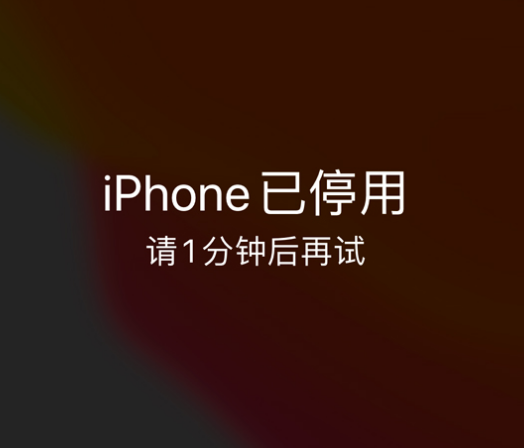 天峨苹果手机维修分享:iPhone 显示“不可用”或“已停用”怎么办？还能保留数据吗？ 