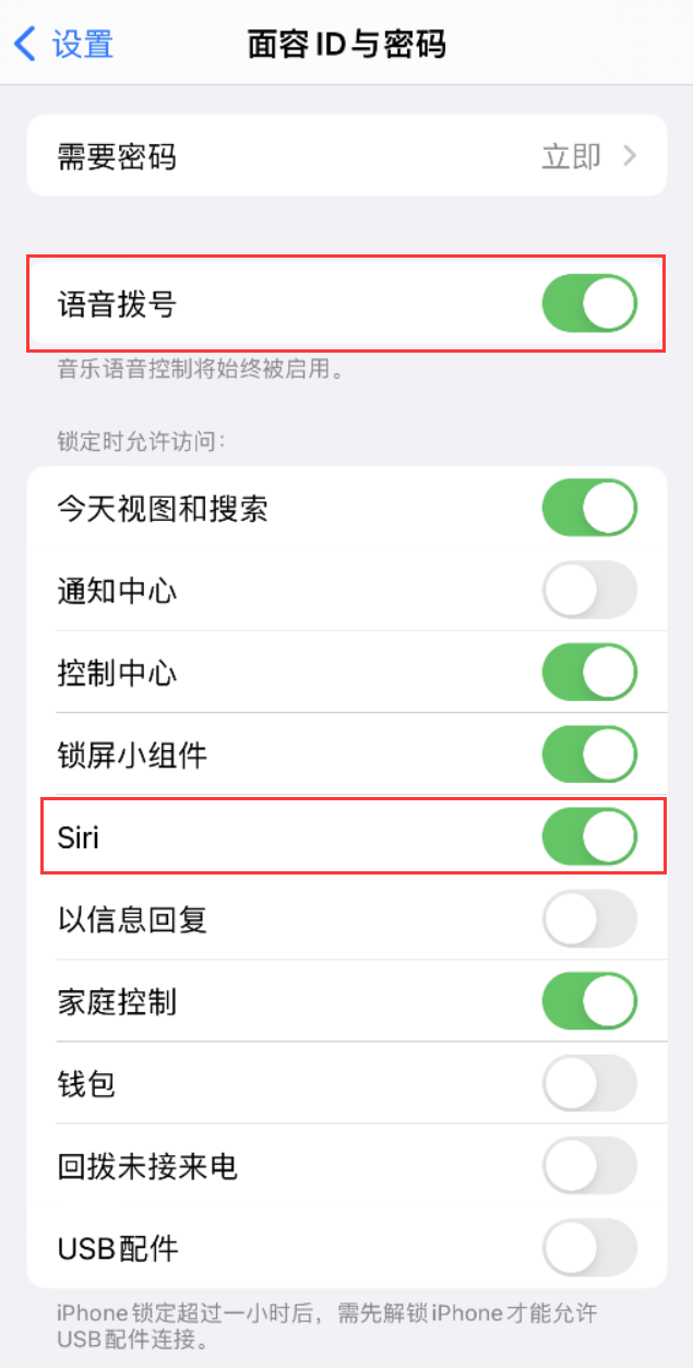 天峨苹果维修网点分享不解锁 iPhone 的情况下通过 Siri 拨打电话的方法 