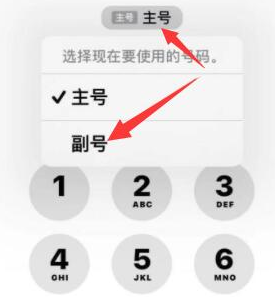 天峨苹果14维修店分享iPhone 14 Pro Max使用副卡打电话的方法 