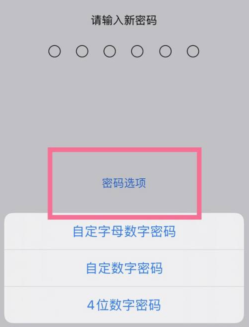 天峨苹果14维修分享iPhone 14plus设置密码的方法 