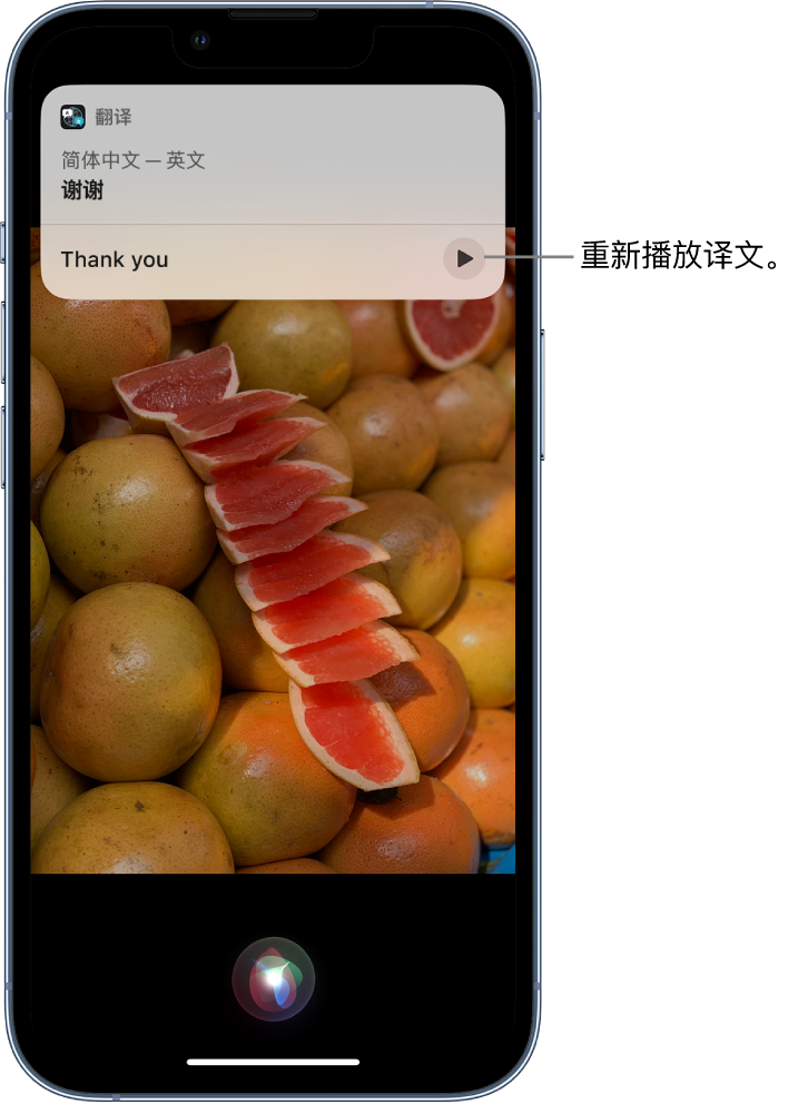 天峨苹果14维修分享 iPhone 14 机型中使用 Siri：了解 Siri 能帮你做什么 