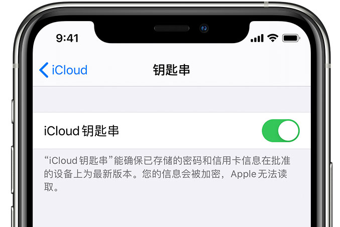 天峨苹果手机维修分享在 iPhone 上开启 iCloud 钥匙串之后会储存哪些信息 