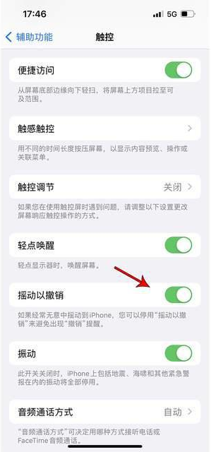 天峨苹果手机维修分享iPhone手机如何设置摇一摇删除文字 